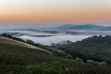 Agriturismo Appassionato toskanisches Weingut in Meernähe mit Ferienwohnungen und Pool