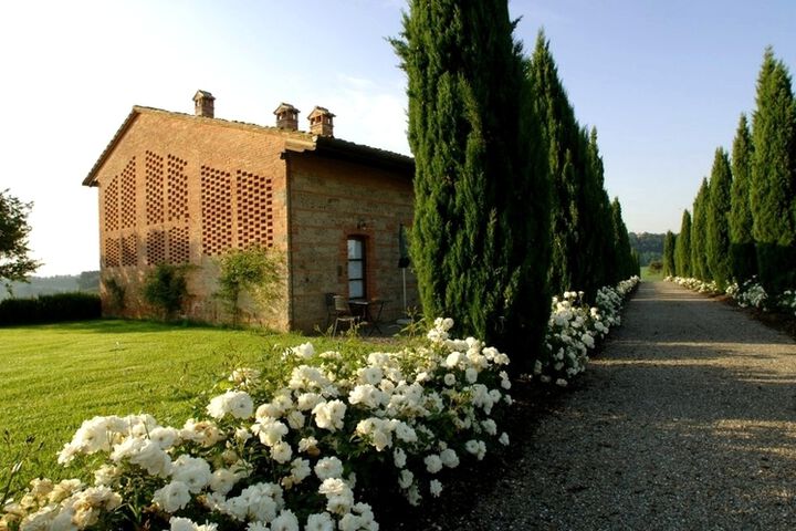 Ferienwohnung Ginestra im Toskana Edel-Weingut Poderenuovo mit Pool und Restaurant, Zufahrt