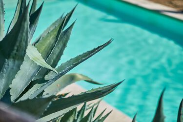 Agriturismo Il Frantoio Toskana Ferienwohnungen mit Pool