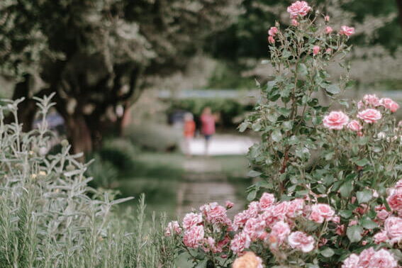 Doppelzimmer La Oro im B&B Casa Felice am Gardasee, Bardolino mit Pool