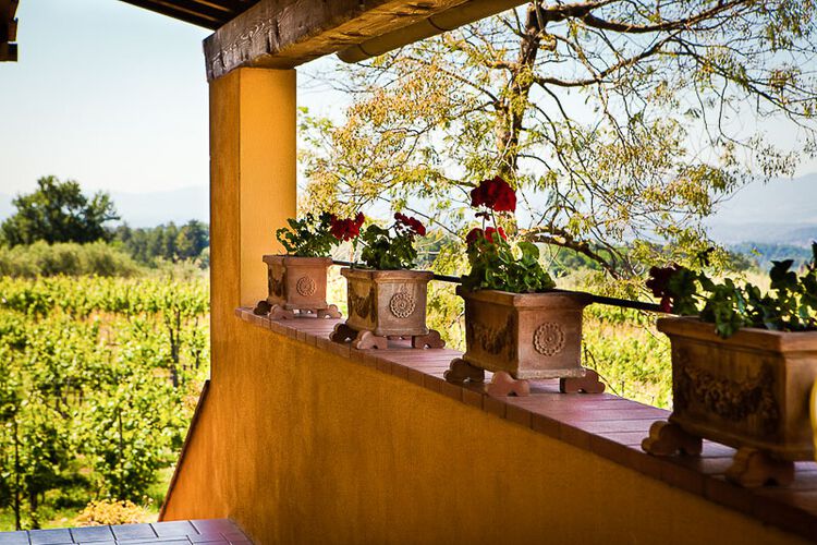 Ferienwohnung Trebbiano Toskana Weingut Agriturismo Casentino mit Pool