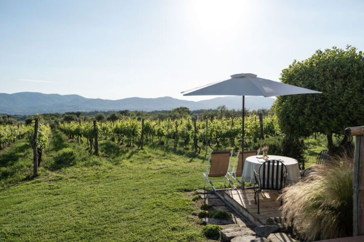 Toskana Weingut Ferienwohnung Malvasia Agriturismo Casentino mit Pool bei Florenz Terrasse