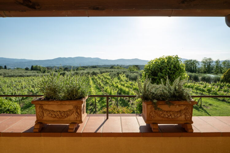 Ferienwohnung Trebbiano Toskana Weingut Agriturismo Casentino mit Pool
