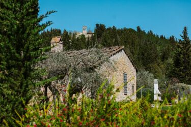 Montealbino Toskana Weingut mit Pool und Restaurant