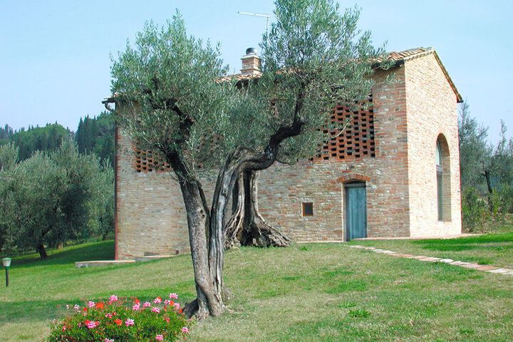 Ferienhaus Fienile im Weingut Montalbino mit Pool
