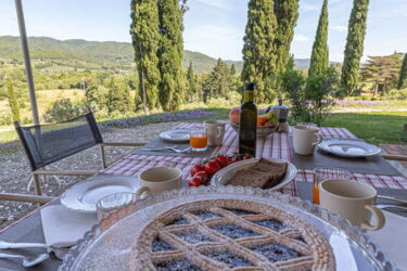 Agriturismo Prata Weingut mit Ferienwohnungen bei Suvereto am Meer mit Pool