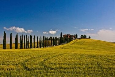 Agriturismo Campana in der Toskana südlich Siena mit Ferienwohnungen und Pool