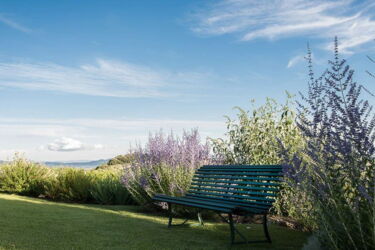 Agriturismo Appassionato toskanisches Weingut in Meernähe mit Ferienwohnungen und Pool