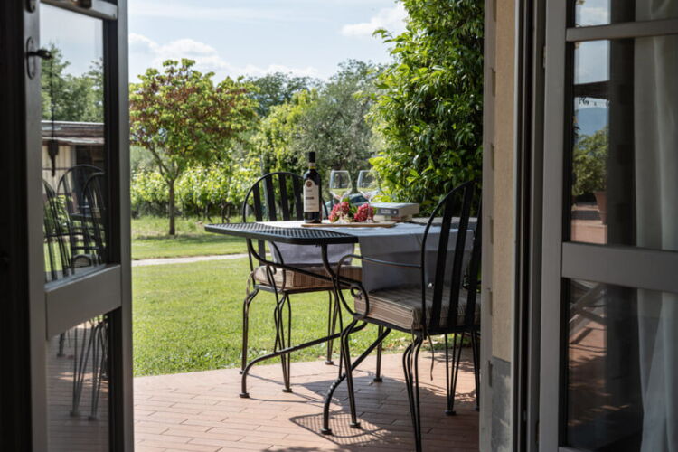 Toskana Ferienwohnung Pendolino Weingut Agriturismo Casentino - kinderfreundlich mit Pool