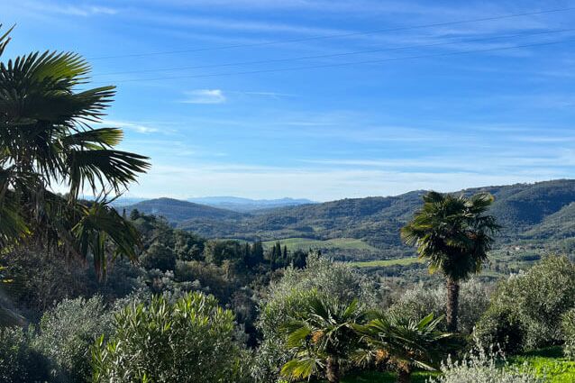 Ferienwohnung Nr. 3 Toskana Weingut Agriturismo Prata am Meer mit Pool