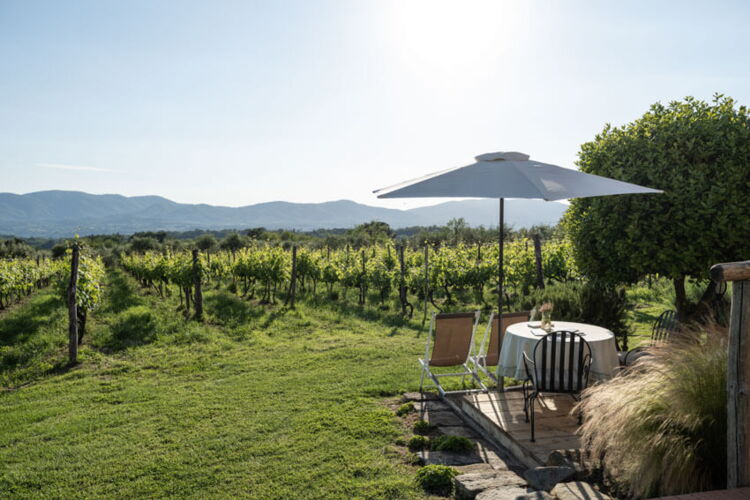 Ferienwohnung Malvasia Toskana Weingut Agriturismo Casentino mit Pool bei Florenz