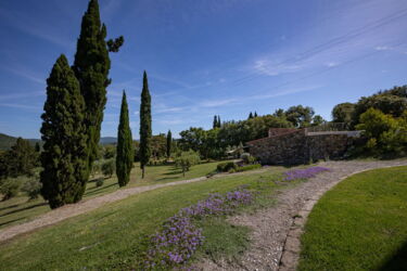 Agriturismo Prata Weingut mit Ferienwohnungen bei Suvereto am Meer mit Pool
