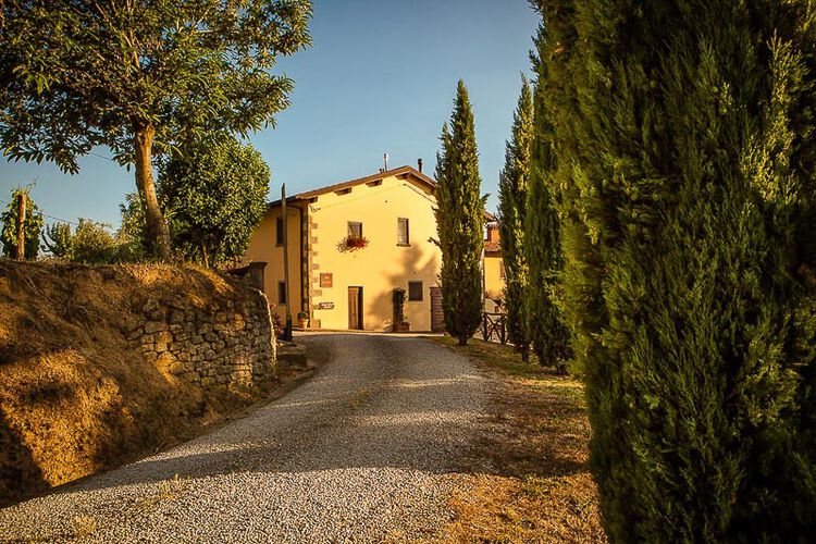 Ferienwohnung Malvasia Toskana Weingut Agriturismo Casentino mit Pool bei Florenz