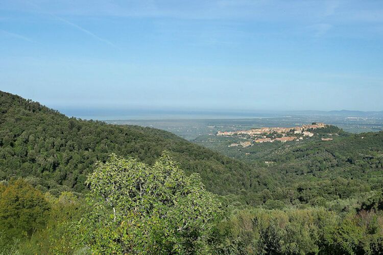 Ferienwohnung Rosa Agriturismo Castagneto mit Meerblick