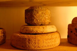 Käseherstellung und Kauf in der Toskana