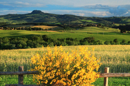 Region Crete und Montepulciano in der Toskana