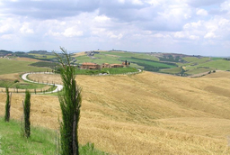 Landschaft Region Siena