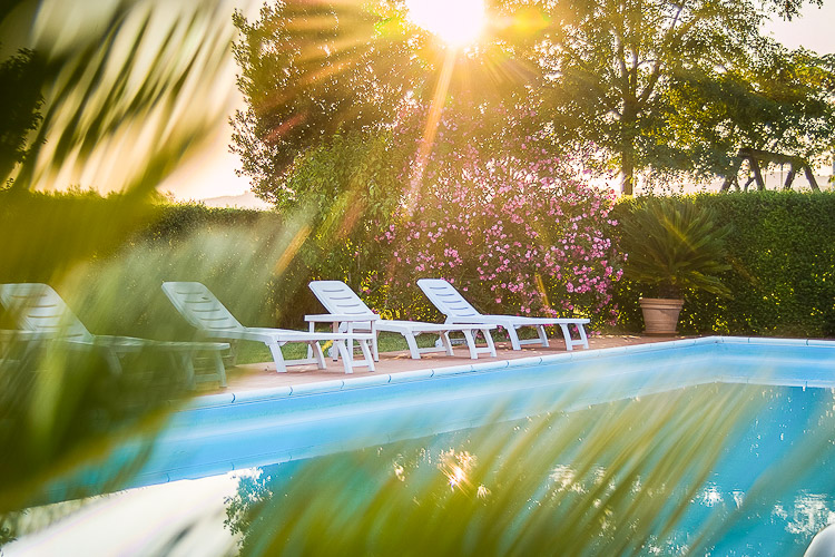 Ferienwohnung Gli Olivi im Agriturismo und Toskana Weingut Il Riposo am Meer in der Region der Maremma