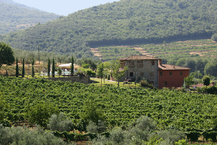 Ferienwohnung Vigneto Toskana Agriturismo Weingut Casale Presciano mit Terrasse und Pool