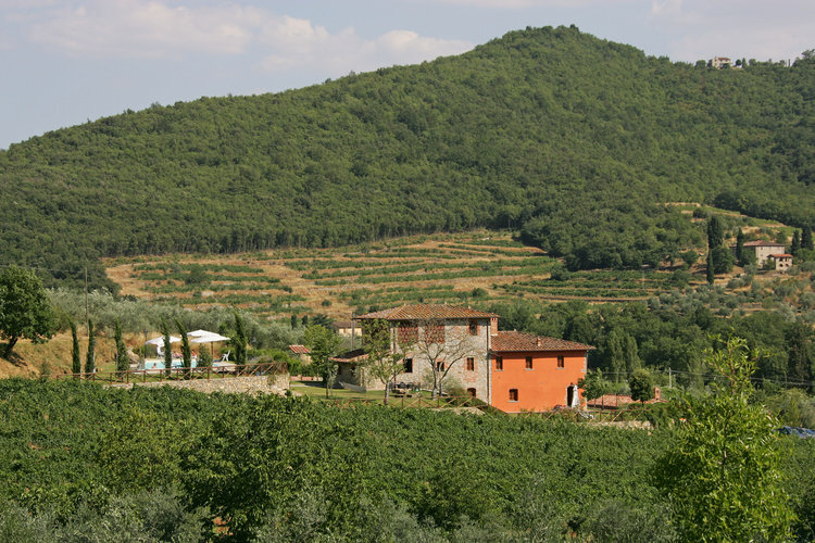 Ferienwohnung Vigneto Toskana Agriturismo Weingut Casale Presciano mit Terrasse und Pool