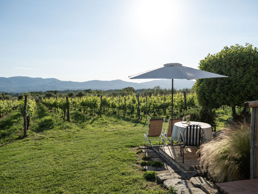 Toskana Weingut Ferienwohnung Malvasia Agriturismo Casentino mit Pool bei Florenz Terrasse
