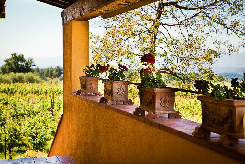 Ferienwohnung Trebbiano Weingut Casentino Toskana Agriturismo mit Pool bei Florenz Blumen